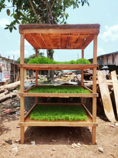 A sustainable vertical farm structure.